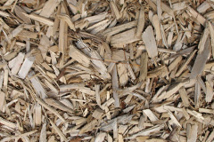 biomass boilers Popeswood